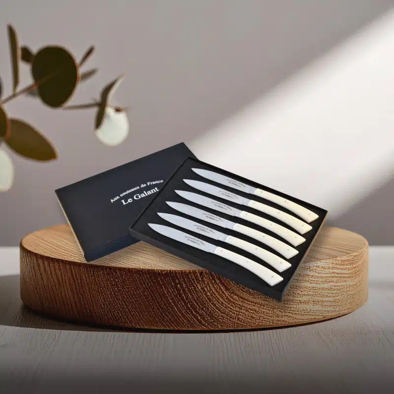 Coffret de couteaux de table de la marque Le Galant