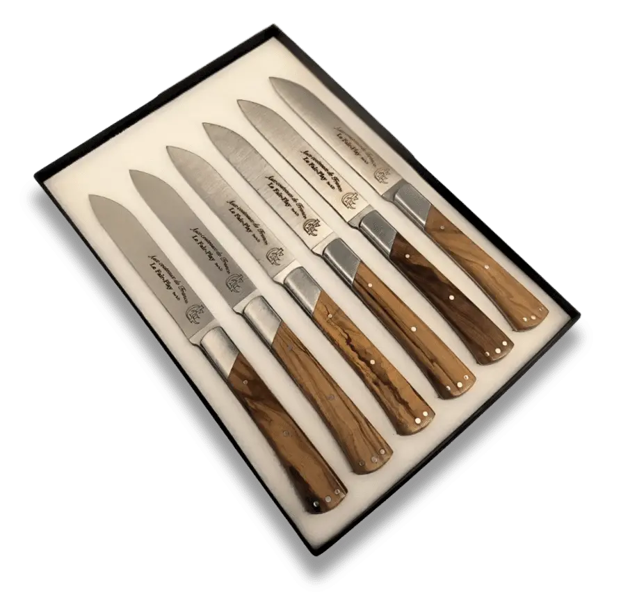 Coffret de couteaux de table haut de gamme manche en bois
